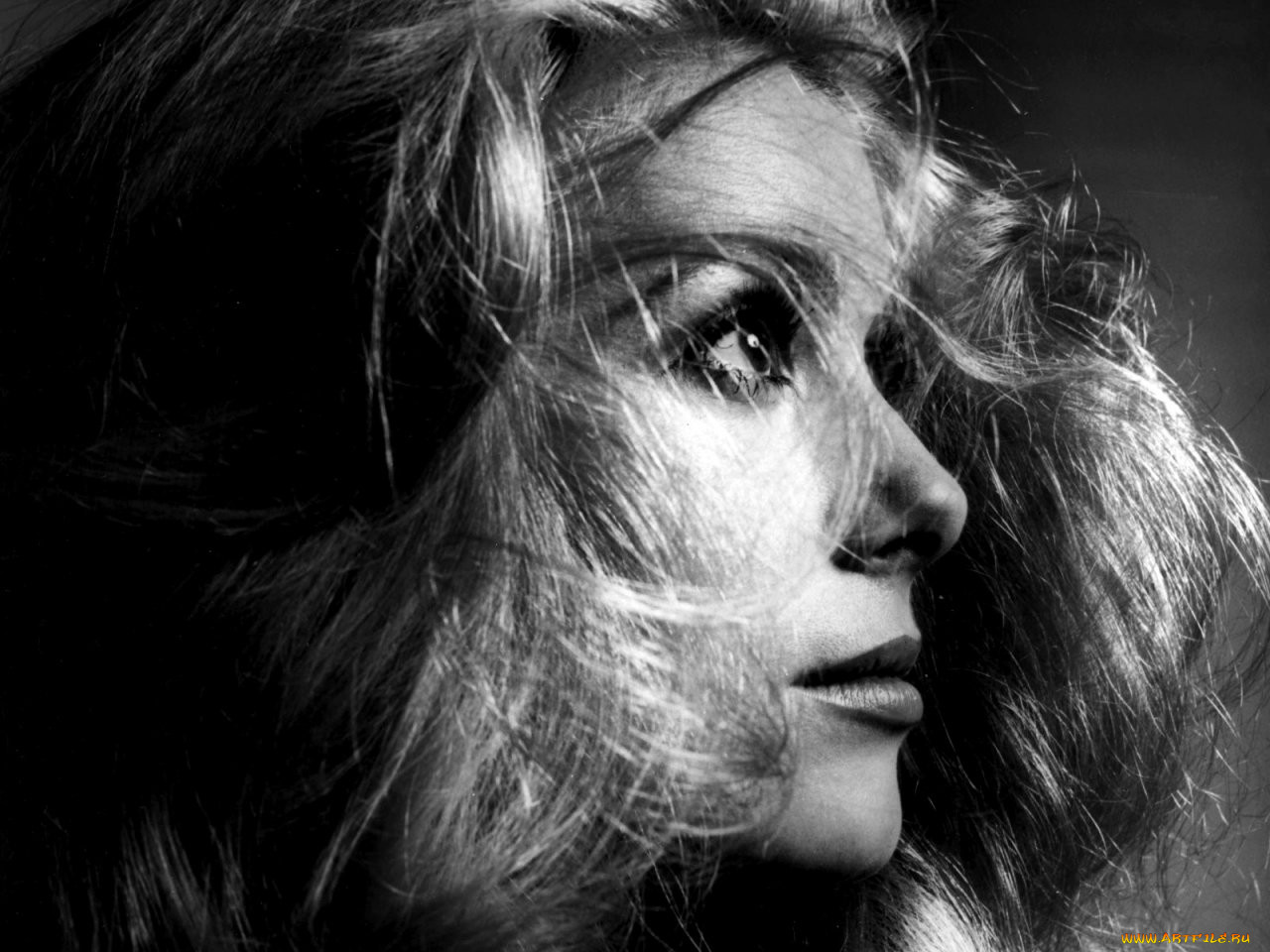 Catherine Deneuve, , , 